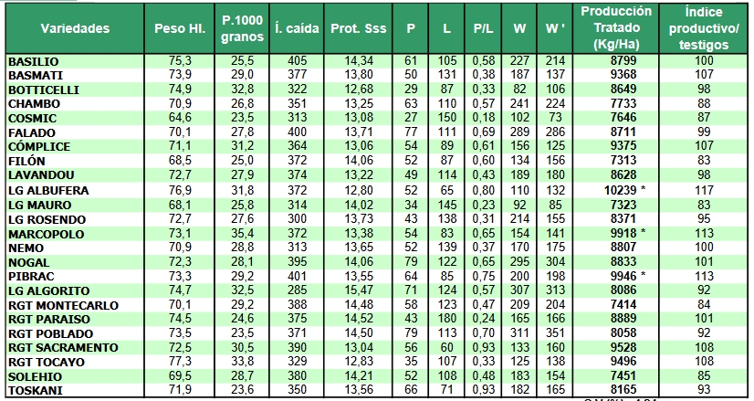 produc andalucia trigo lg albufera semilla certificada