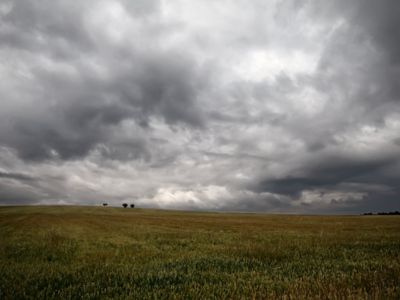 Condiciones meteorológicas extremas en la agricultura española