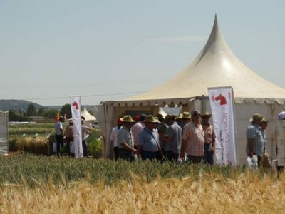 Proximas IV Jornadas GENVCE 2016