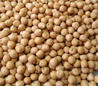 <p><img src="images/iconos/nuevos-20230424/018-elevada-produccion.png" alt="011 forraje" width="80" height="80" /><img src="images/iconos/nuevos-20230424/014-apto-alimentacion.png" alt="014 apto alimentacion" width="80" height="80" /><img src="images/iconos/nuevos-20230424/015-excelente-calidad.png" alt="015 excelente calidad" width="80" height="80" /><img src="images/iconos/nuevos-20230424/019-secano-arido.png" alt="019 secano arido" width="80" height="80" /><img src="images/iconos/nuevos-20230424/016-resistencia-al-frio.png" alt="016 resistencia al frio" width="80" height="80" /></p><p><img src="images/kasin.png" alt="kasin.png" width="234" height="89" /></p>