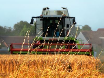 Moderada subida general de los precios