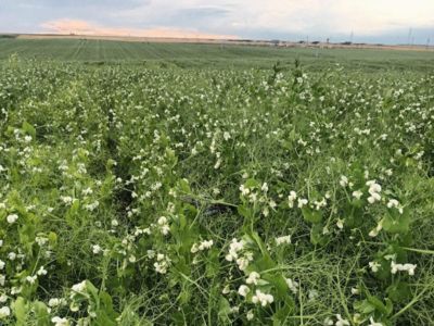 ¿Sabías que puedes conseguir abono gratis?