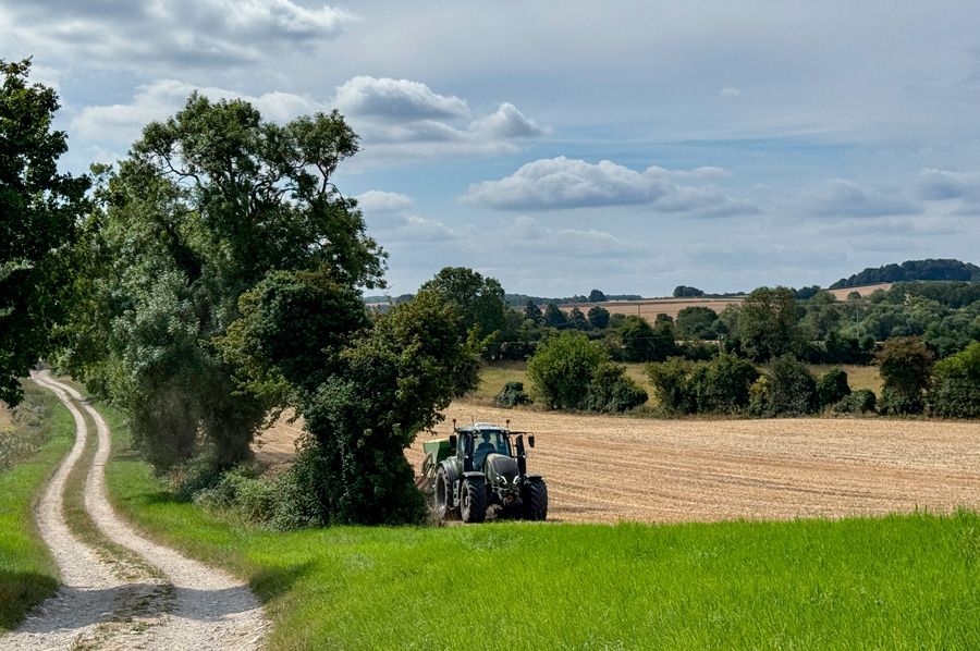 Semillas certificadas en agricultura profesional: criterios técnicos, control varietal y efecto en la estabilidad productiva