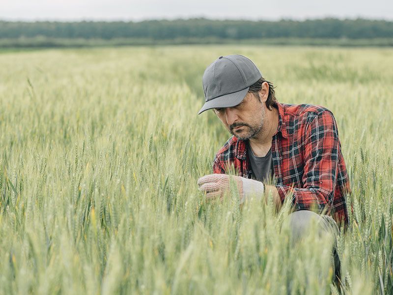 Agricultura regenerativa, un paso más hacia un futuro sostenible (Parte 1)